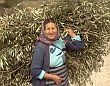 Marmaris
